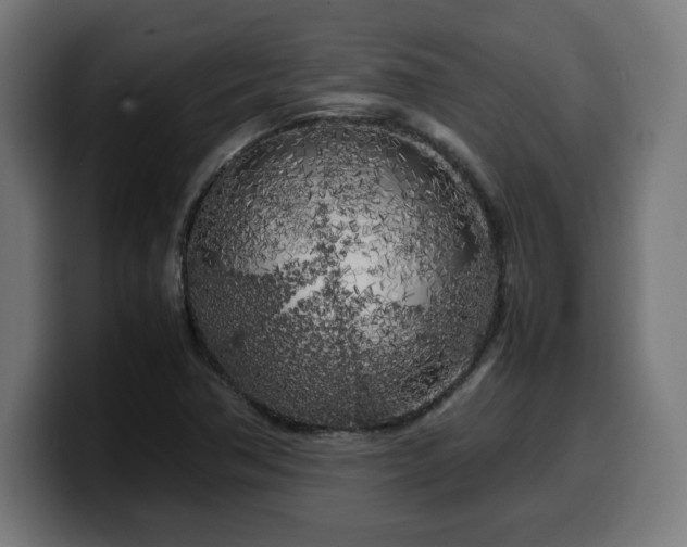 X0000100491362200806131241