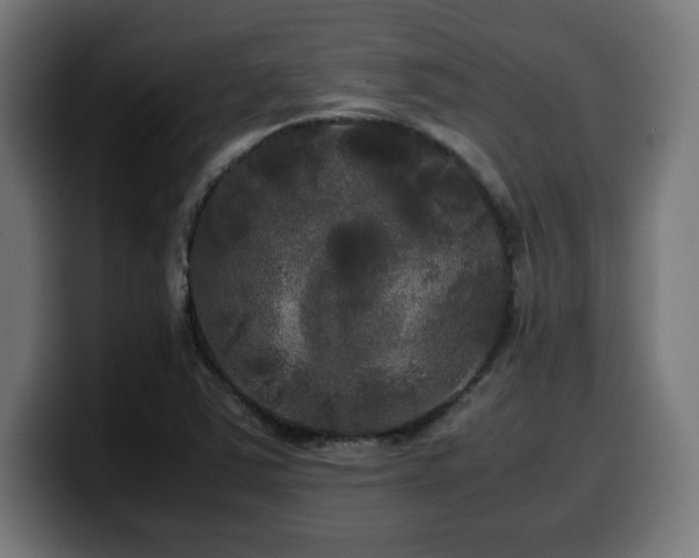 X0000100491363200806131241