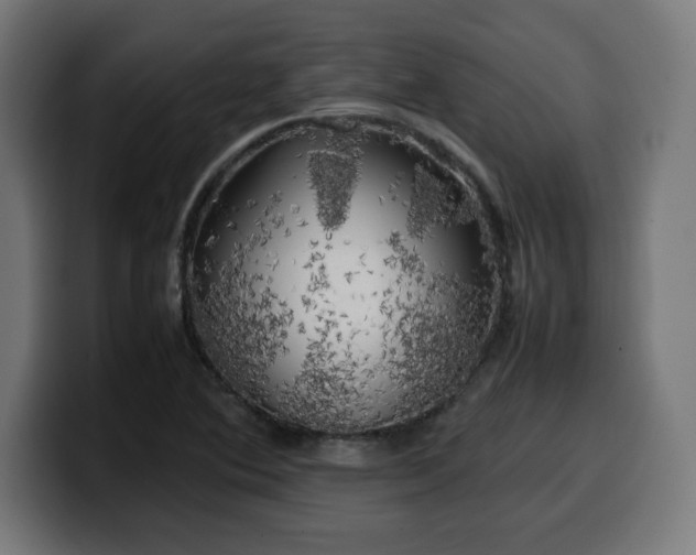 X0000100491364200806131241