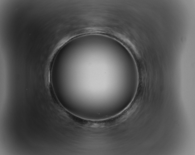 X0000100491365200806131241