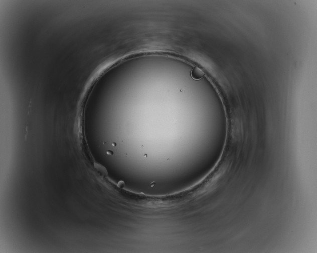 X0000100491366200806131241