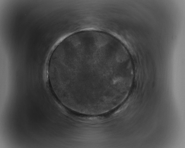 X0000100491367200806131241