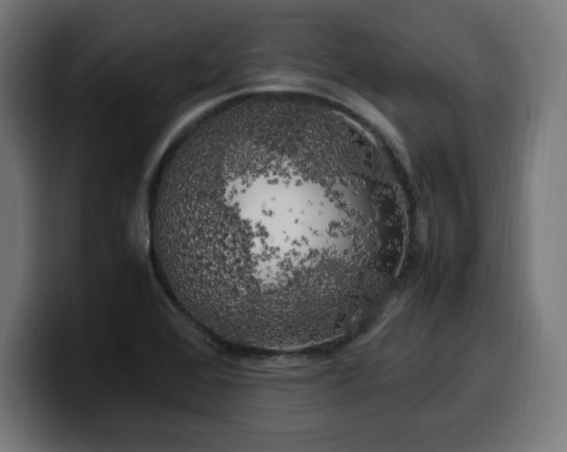 X0000100491368200806131241