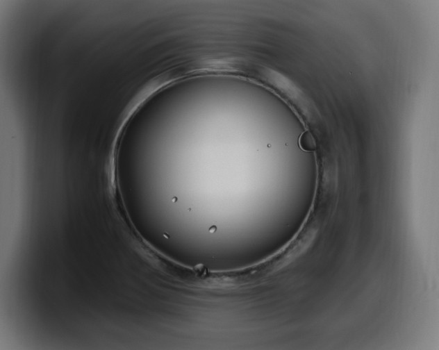 X0000100491370200806131241