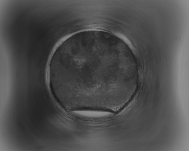 X0000100491371200806131241