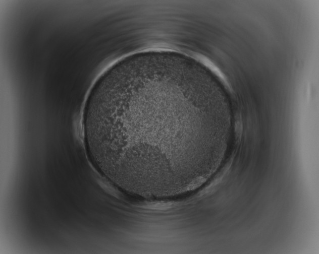 X0000100491372200806131241