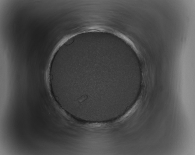 X0000100491373200806131241