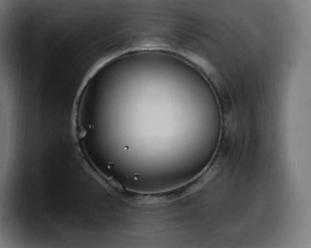 X0000100491374200806131241