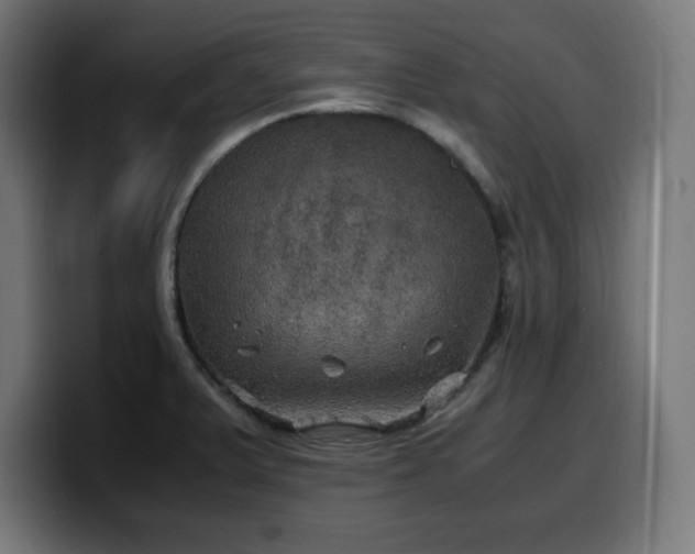 X0000100491375200806131241