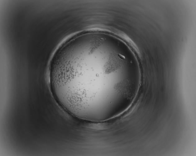 X0000100491376200806131241