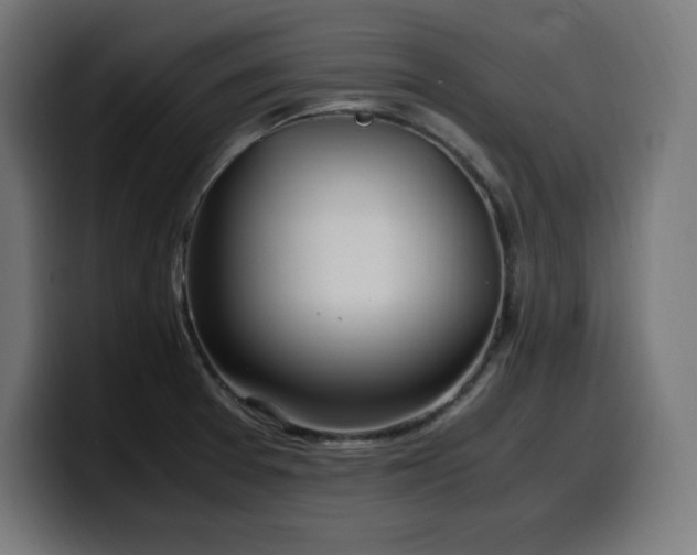 X0000100491377200806131241