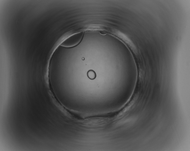 X0000100491378200806131241