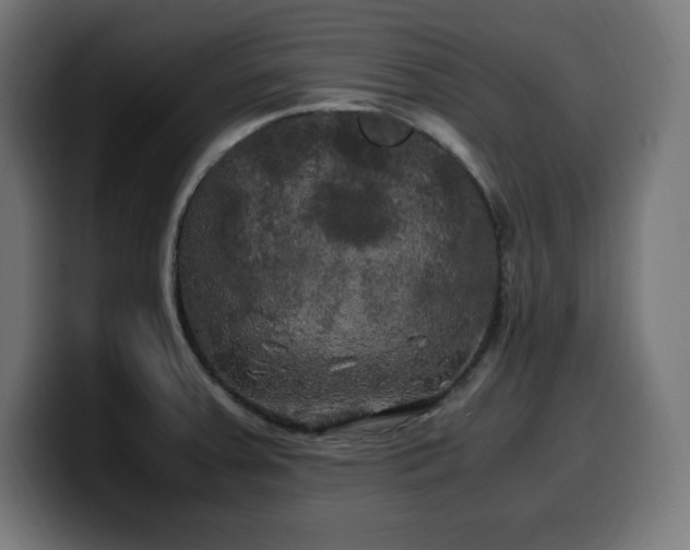 X0000100491379200806131241
