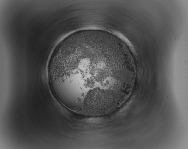 X0000100491380200806131241