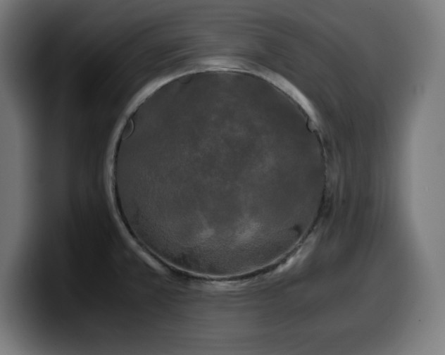 X0000100491381200806131241