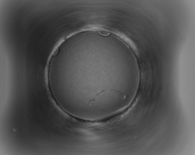 X0000100491382200806131241