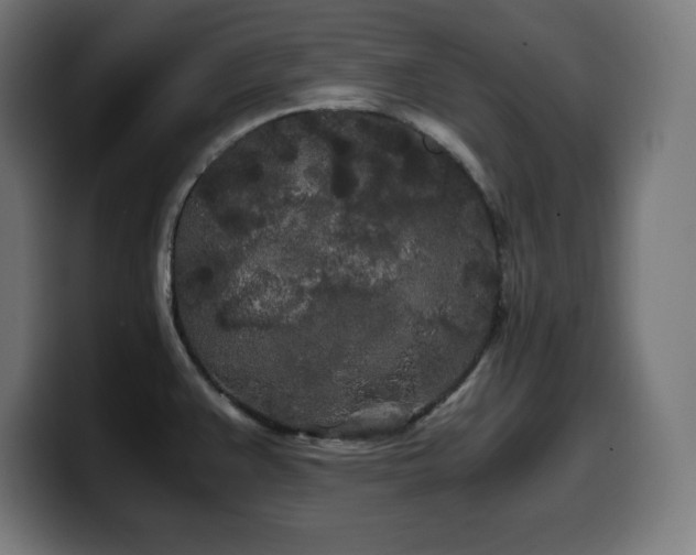 X0000100491383200806131241