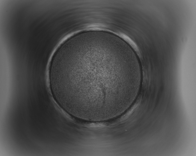 X0000100491384200806131241