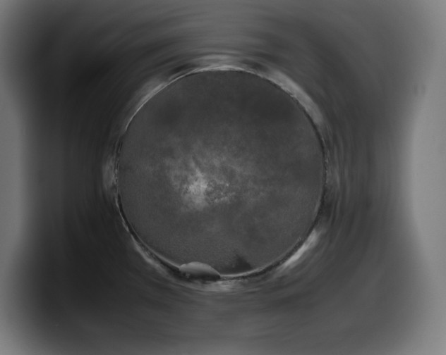 X0000100491385200806131241