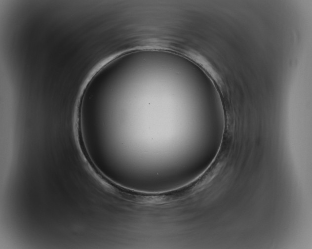 X0000100491387200806131241