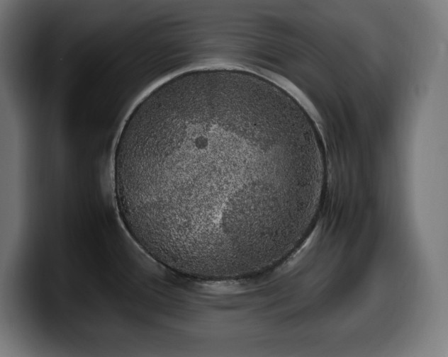 X0000100491388200806131241