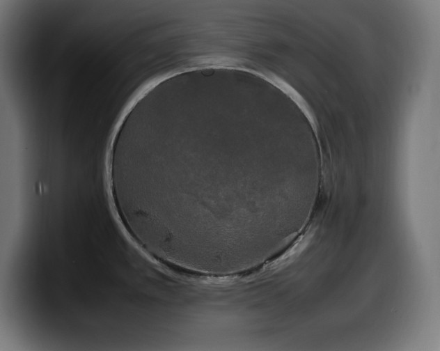 X0000100491389200806131241