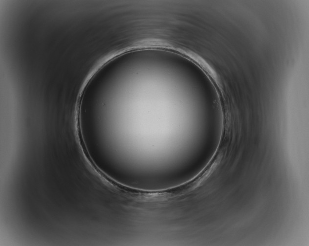 X0000100491390200806131241
