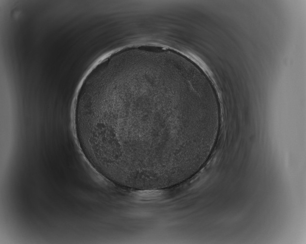X0000100491392200806131241