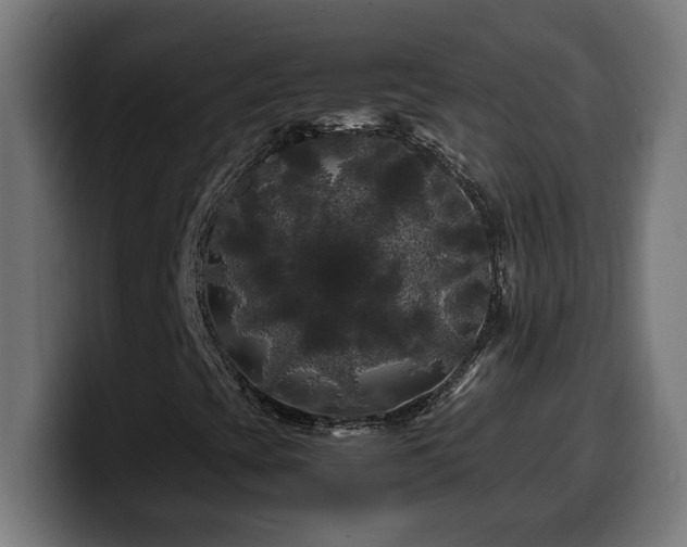 X0000100491393200806131240
