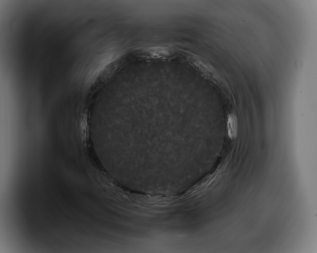 X0000100491395200806131240