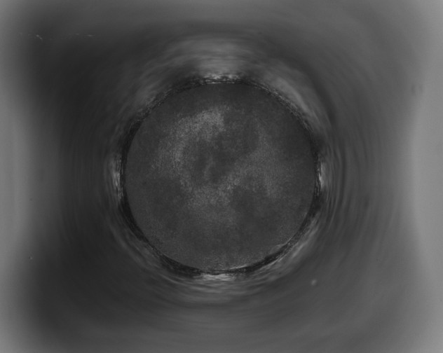 X0000100491396200806131240