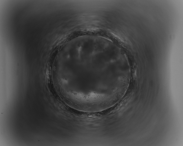 X0000100491397200806131241