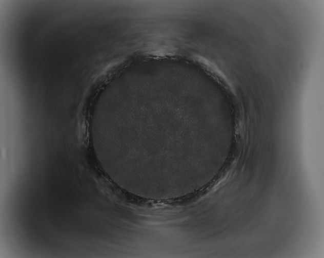 X0000100491398200806131241