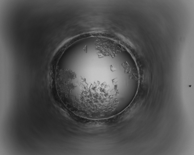 X0000100491400200806131241