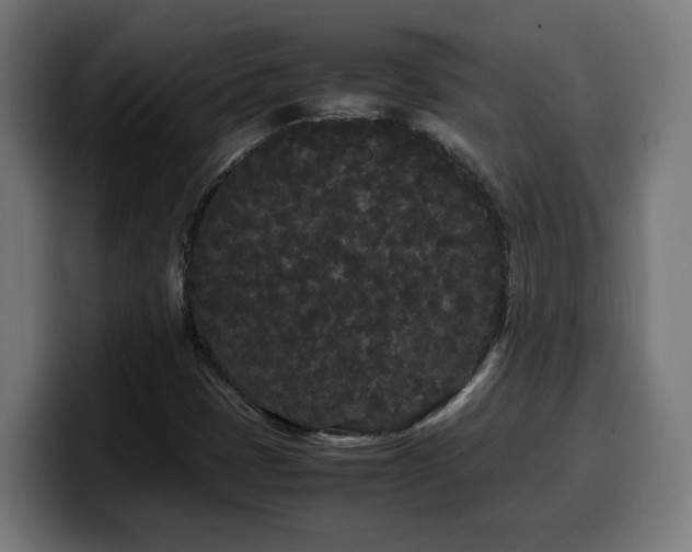 X0000100491401200806131241