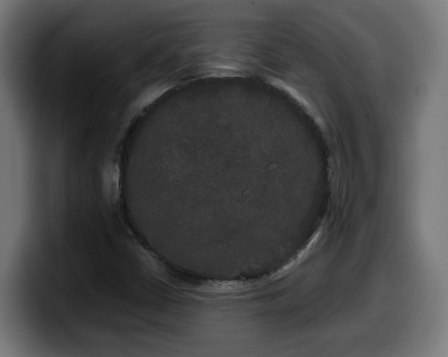 X0000100491402200806131241