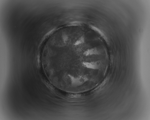 X0000100491403200806131241