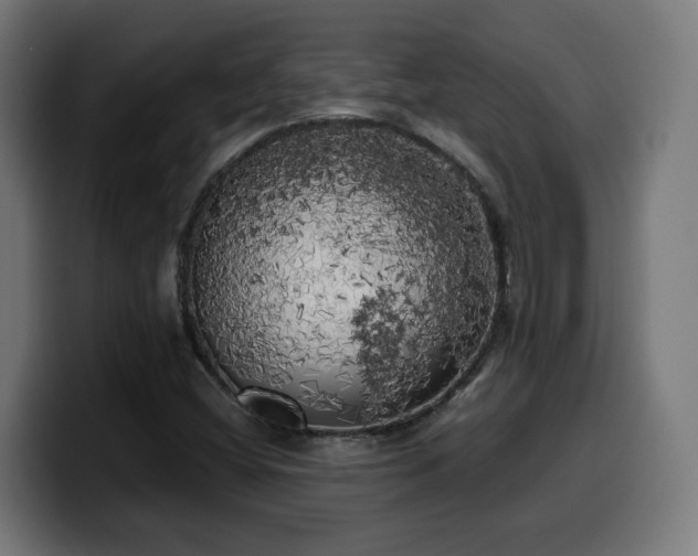 X0000100491404200806131241