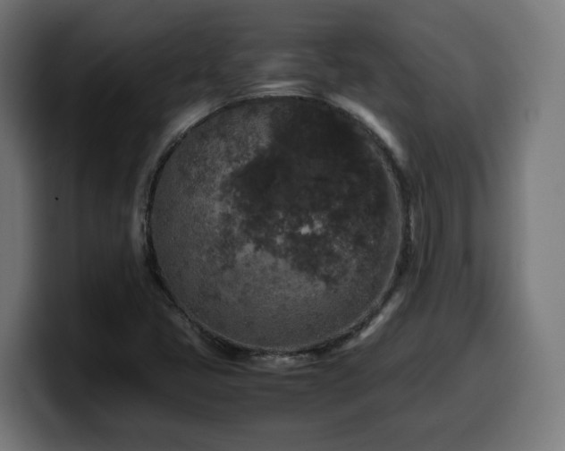 X0000100491405200806131241