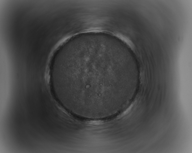 X0000100491406200806131241