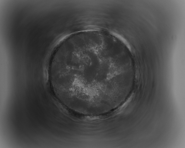 X0000100491407200806131241