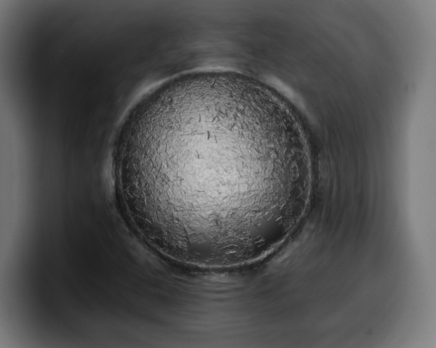 X0000100491408200806131241