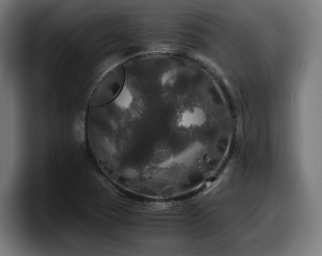 X0000100491409200806131241