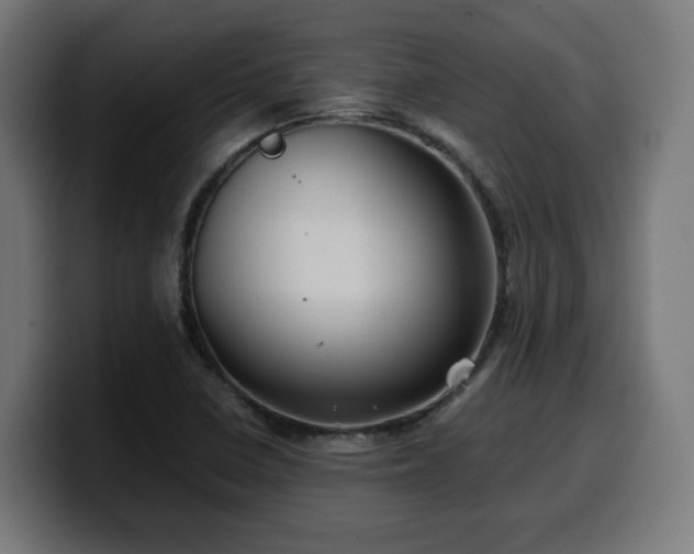 X0000100491410200806131241