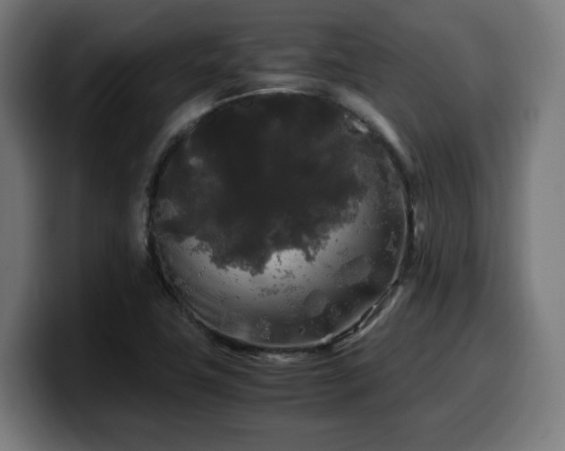 X0000100491411200806131241