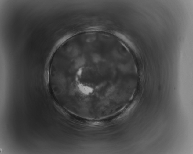X0000100491413200806131241