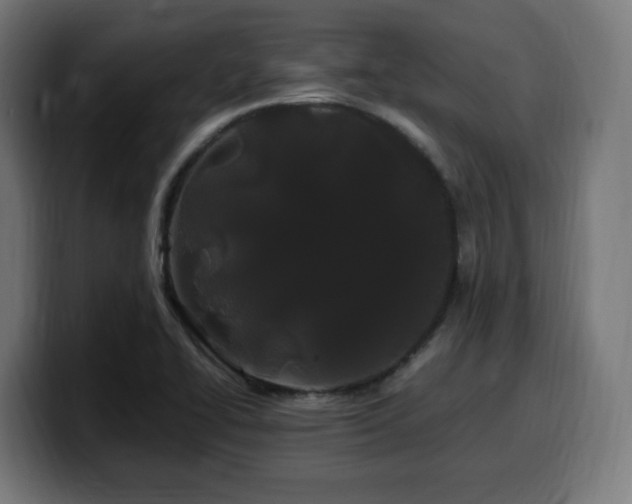 X0000100491414200806131241