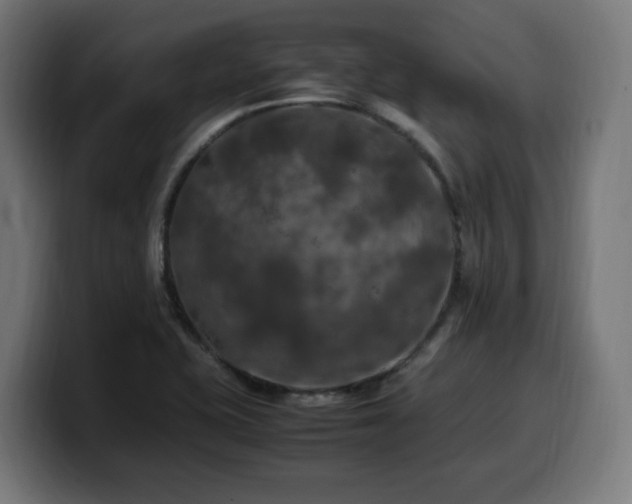 X0000100491415200806131241