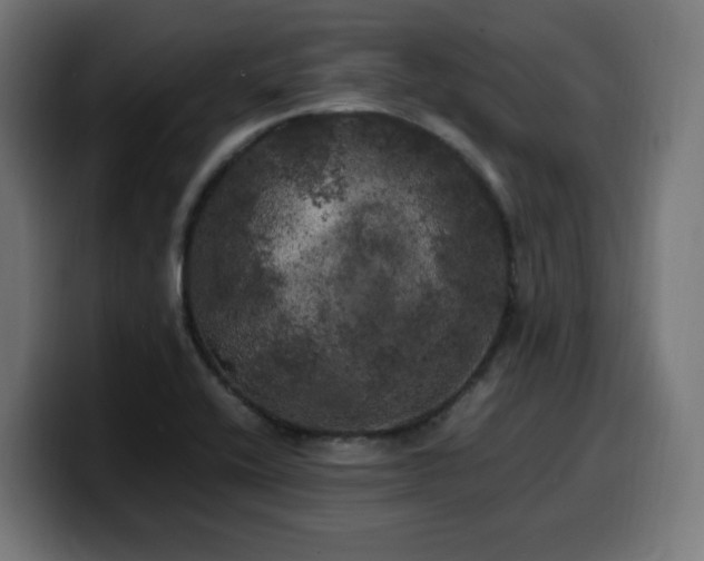 X0000100491416200806131241