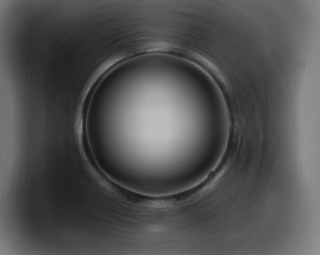 X0000100491418200806131241